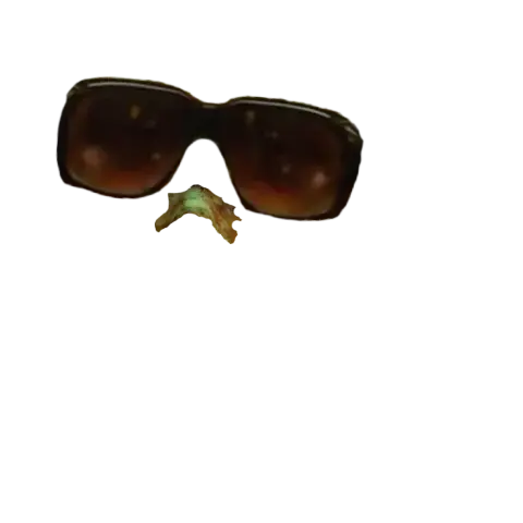 The Sunglasses