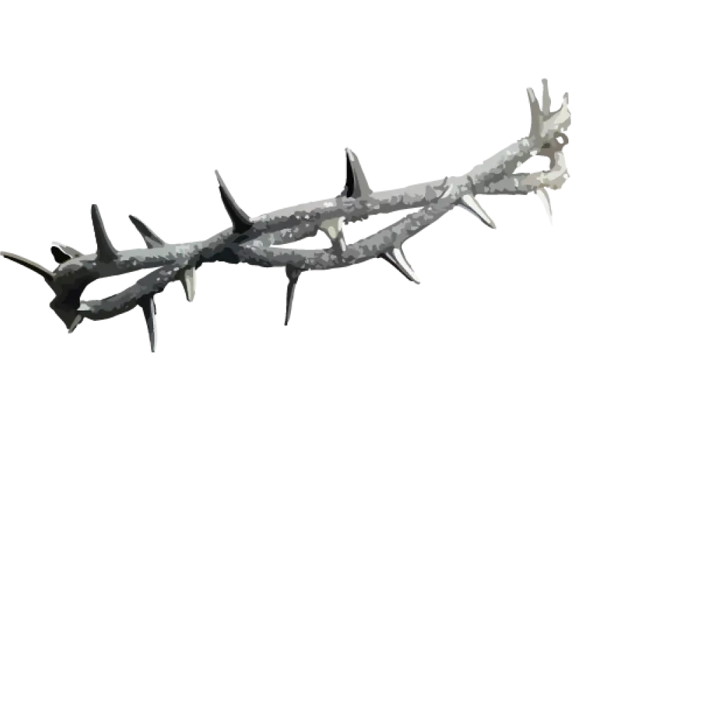 Crown Of