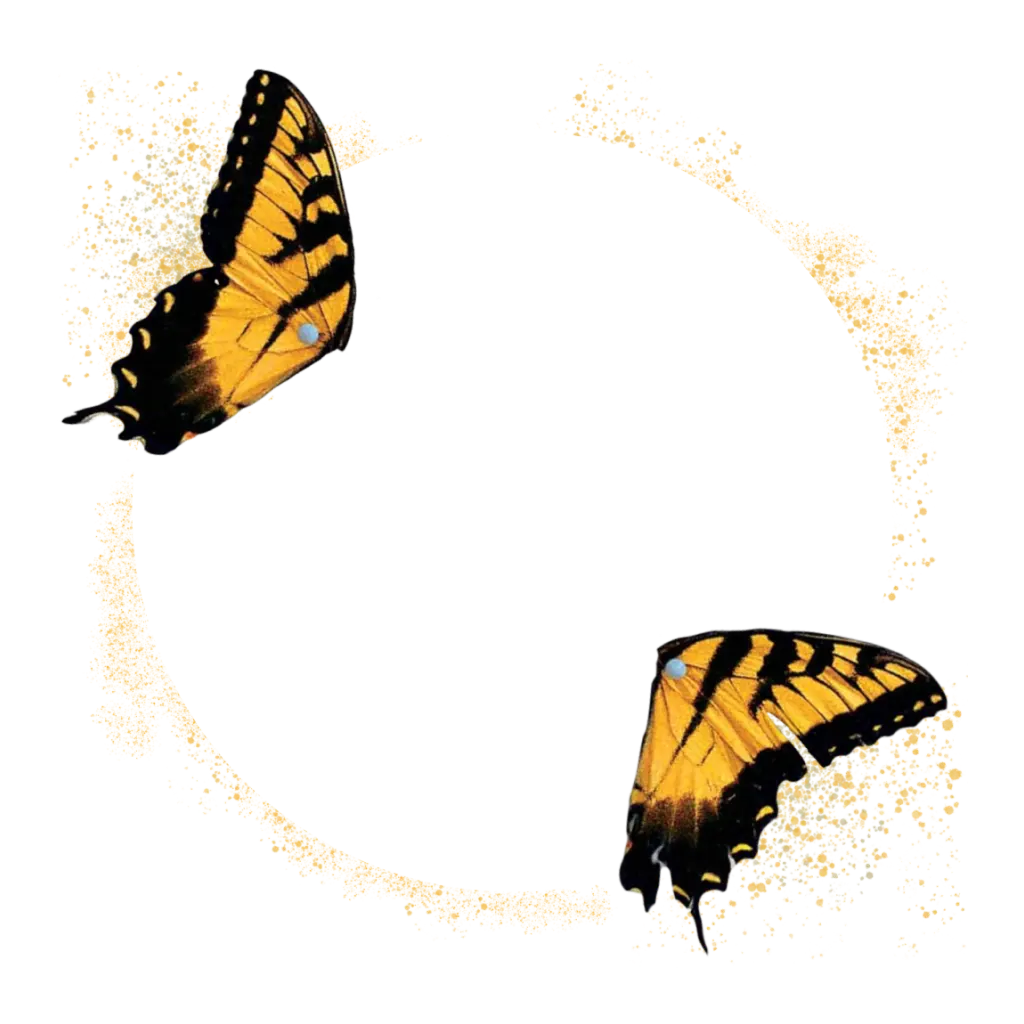 Brand New Eyes